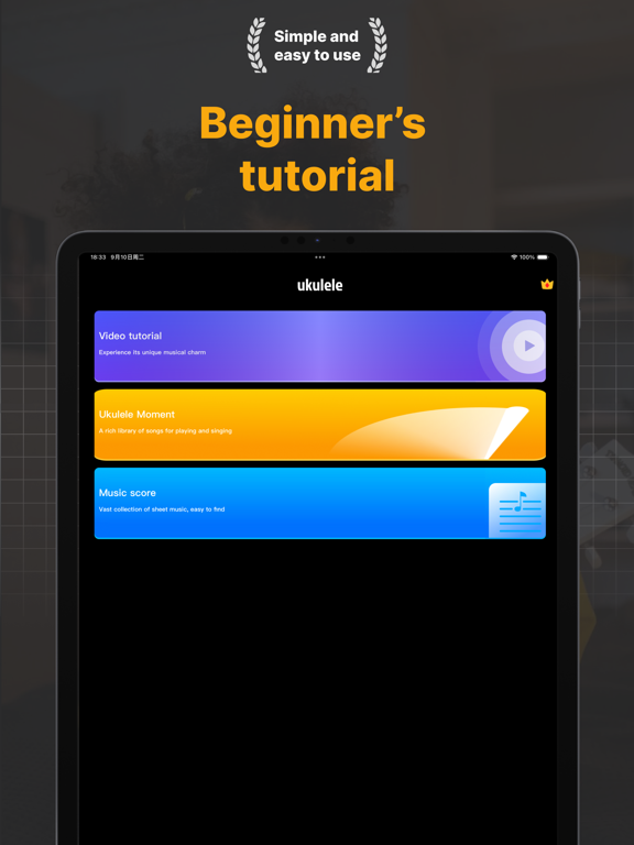 Ukulele Tuner : Lessons&Chord iPad screenshot 4 - Music app