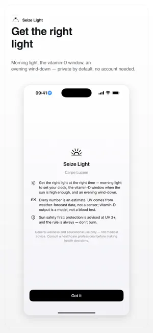 Seize Light screenshot 4