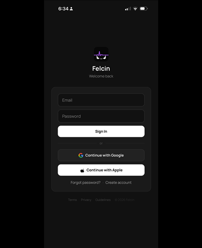 Felcin screenshot 19