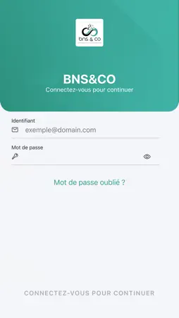 BNS&CO screenshot 2