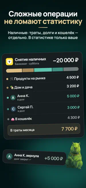 Копибара: финансы и расходы screenshot 4