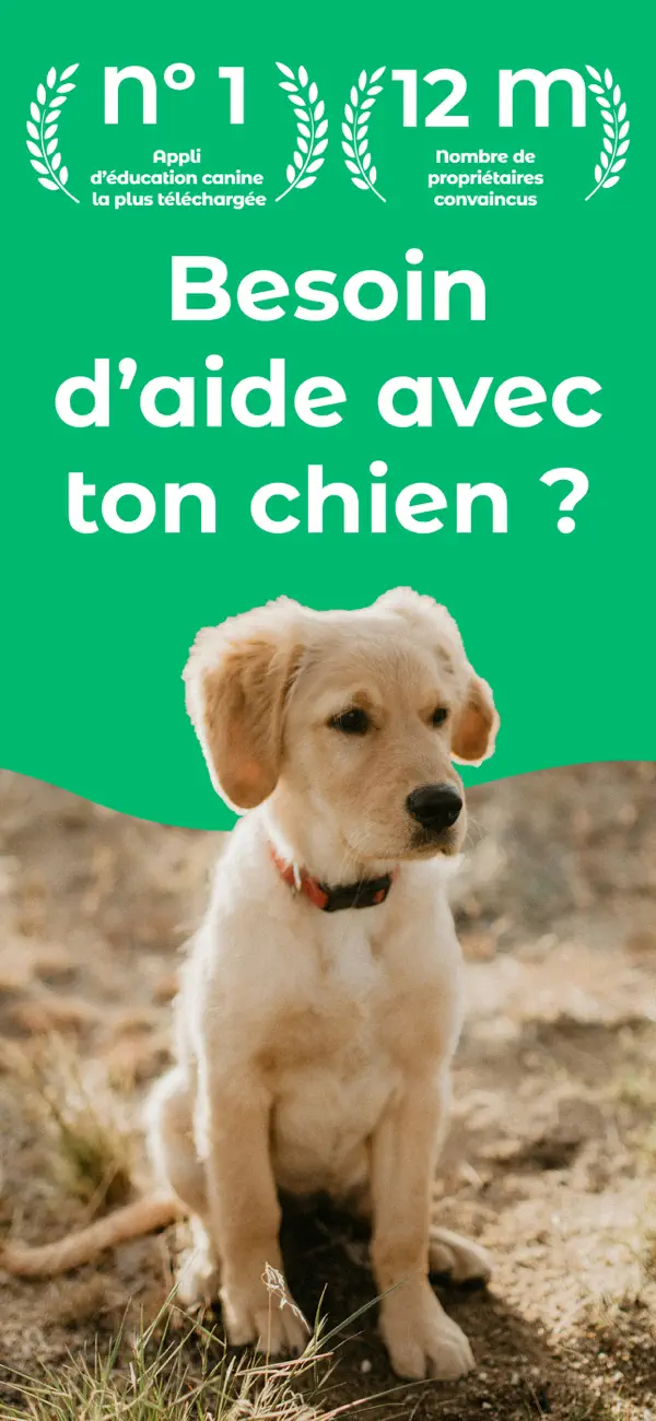 Screenshot #1 pour Dogo — Education du chien