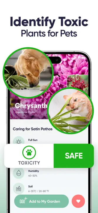 Plant Identifier, Care: Screenshot 7 von 8