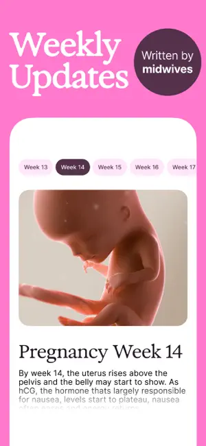 Suun – Pregnancy & Postpartum screenshot 3