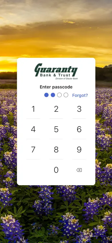 Guaranty Bank & Trust screenshot 2