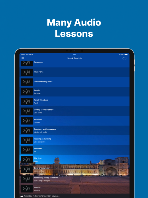 Fast - Speak Swedish Language iPad screenshot 4 - Education app