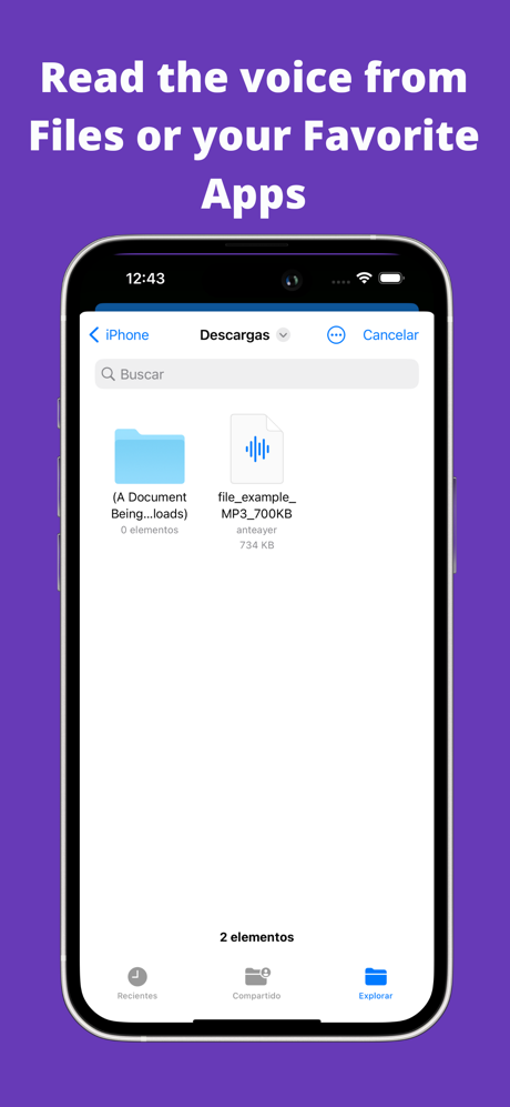 Audio Recorder - HiText screenshot 5