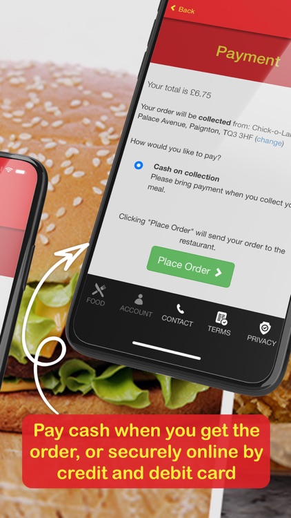 Chick-o-Land in Paignton screenshot-3