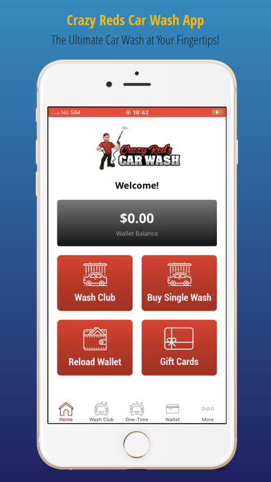 Crazy Reds Car Wash screenshot