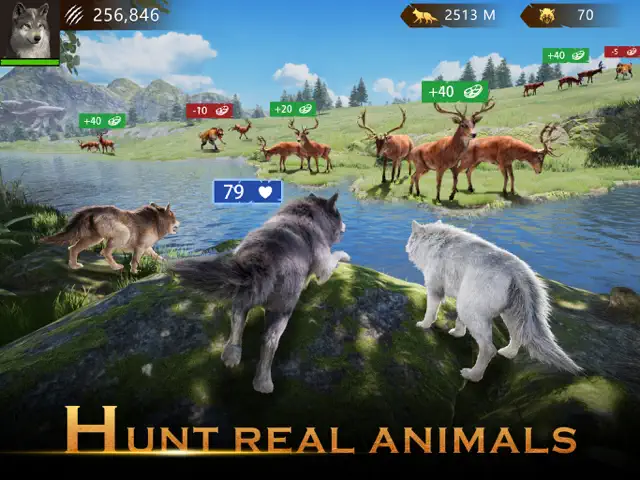 screenshot 0