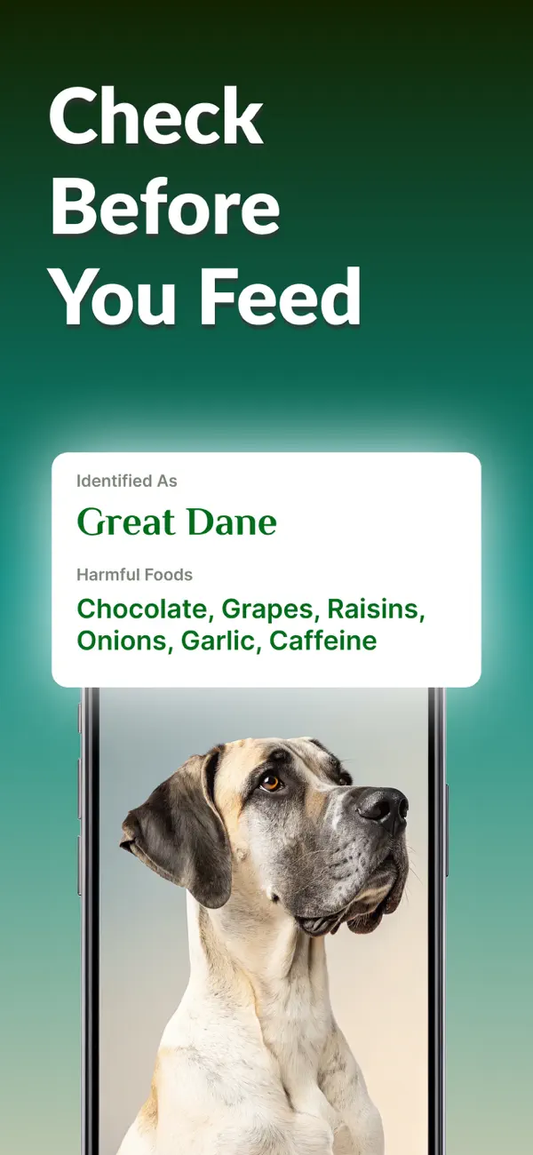 Screenshot #3 pour Dog Breed Identifier: Dog Care