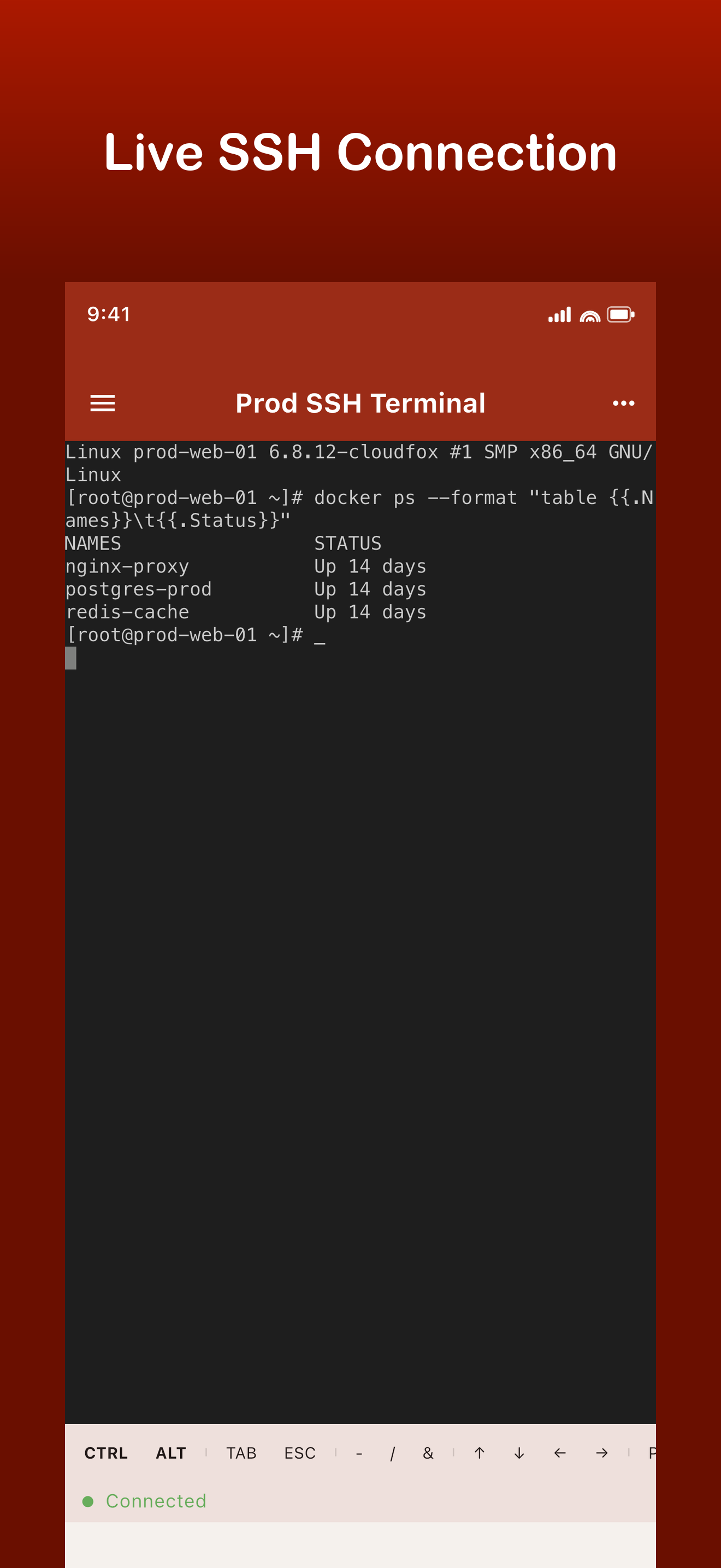 CloudFox for Hetzner Cloud