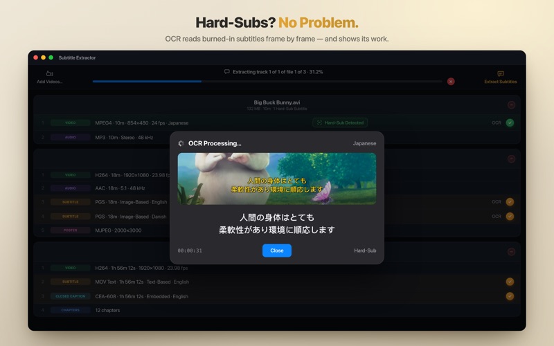 Screenshot #3 pour Subtitle Extractor