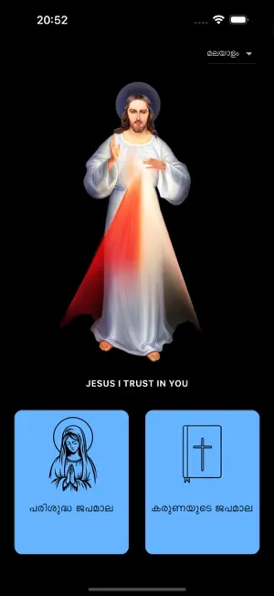 THE HOUR OF MERCY screenshot 2