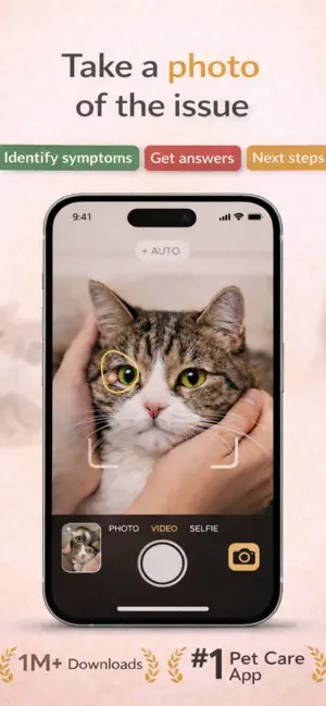CatCare: Symptom Guide screenshot 1