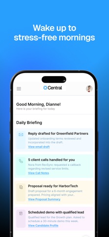 Central AI Assistant screenshot