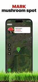 Mushroom Identifier - ID Fungi screenshot
