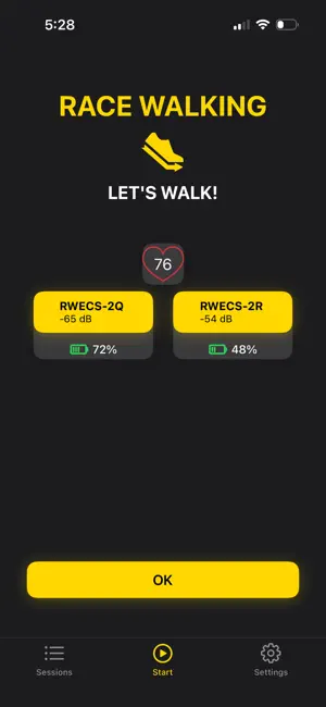 RWECS screenshot 1