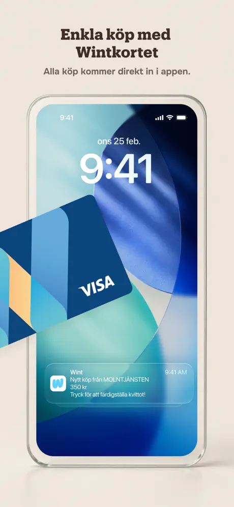 Wint screenshot 6