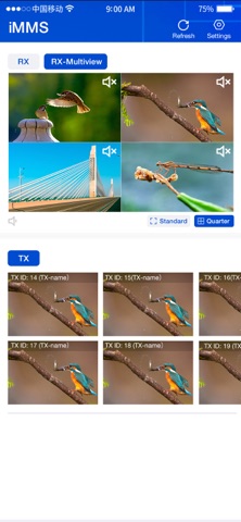 iMMS for ipcolor screenshot
