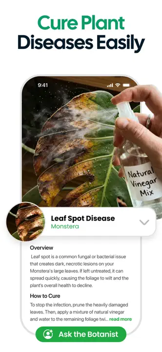 Plant App : capture d’écran 2 sur 8