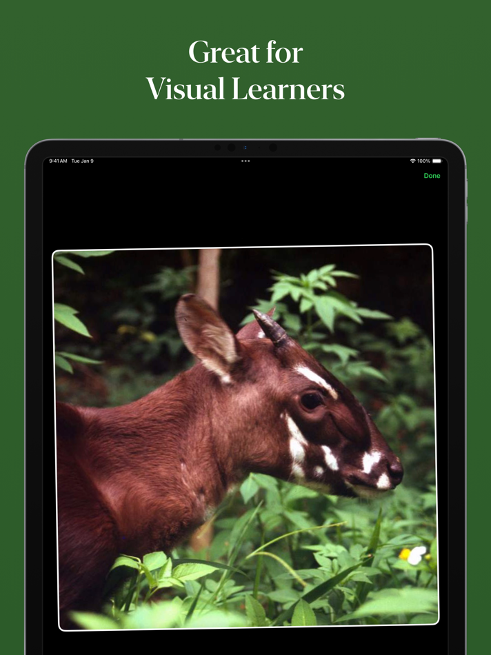 #3. Flash Cards: Create With AI (iOS) بواسطة: Yauhen Bahdanovich
