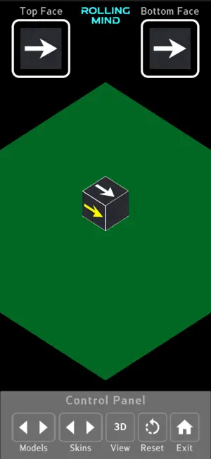 Rolling Mind screenshot 4
