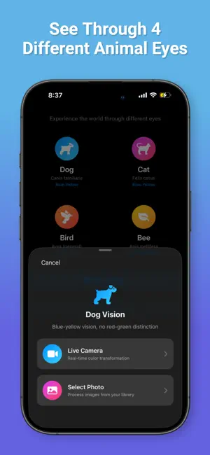 Animal POV screenshot 2