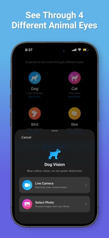 Animal POV screenshot
