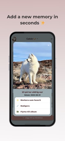 Pet Memories+ Screenshot 5 of 8