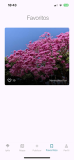 Ipês screenshot 4
