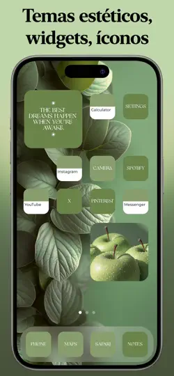 Captura de pantalla de Themify: Iconos, Temas, Widget en iPhone 3