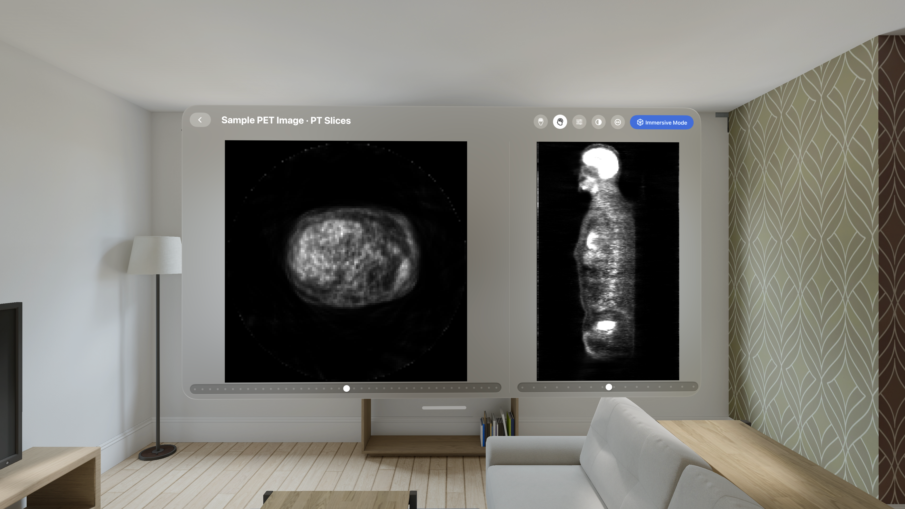 VoxelVision - AR DICOM Viewer