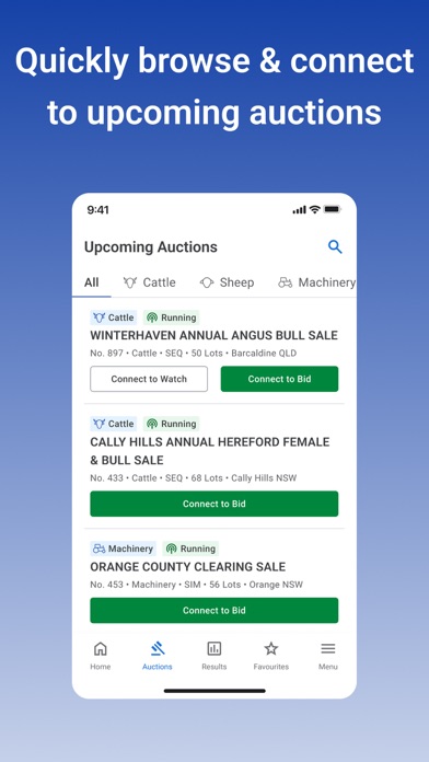 AuctionsPlus Screenshot
