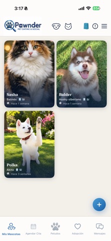 Pawnder Screenshot 5 of 6