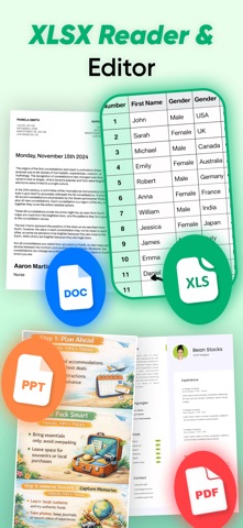 XLSX Reader & Editor iPhone screenshot