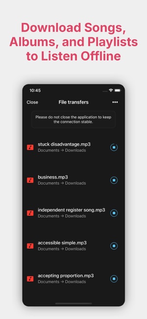 Evermusic Pro: music player on the App Store