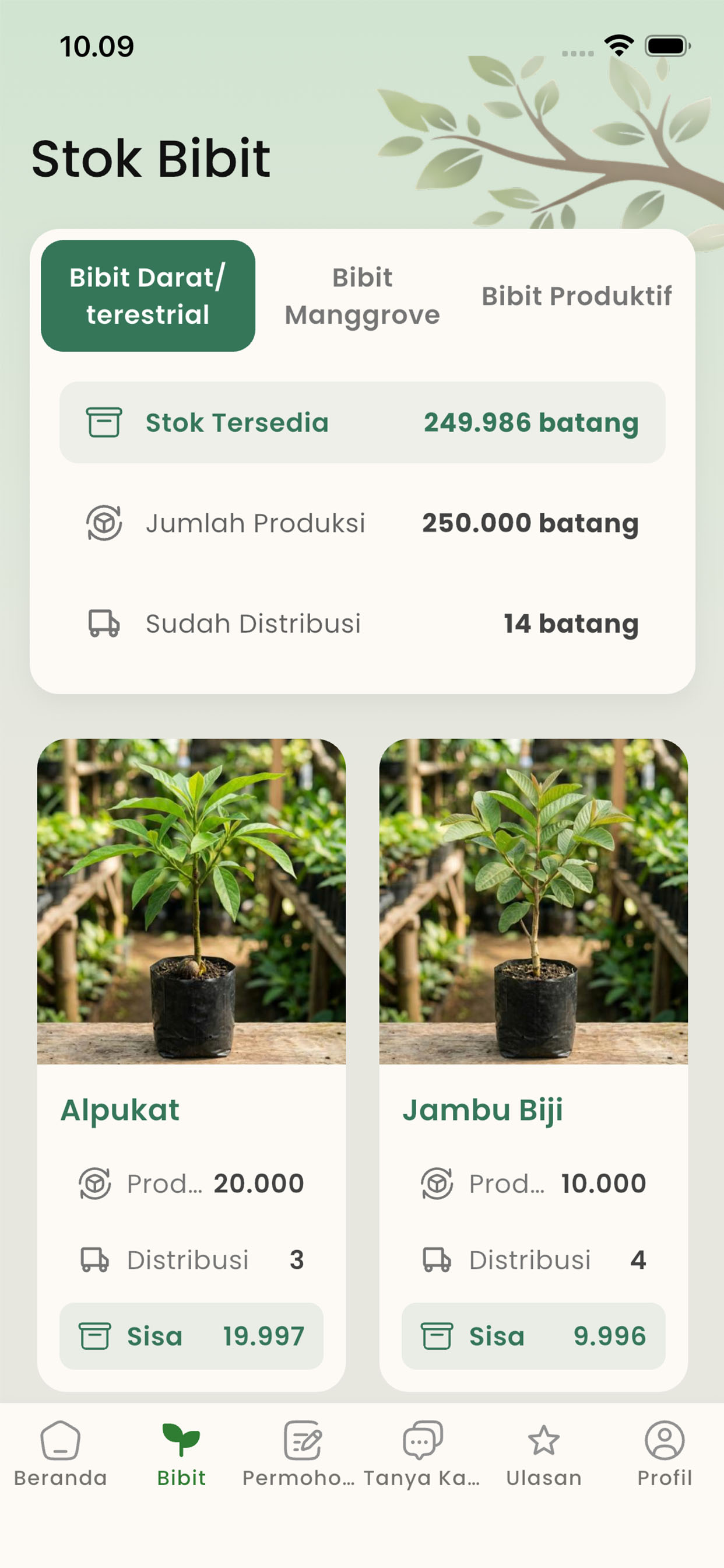 New ABG Bali