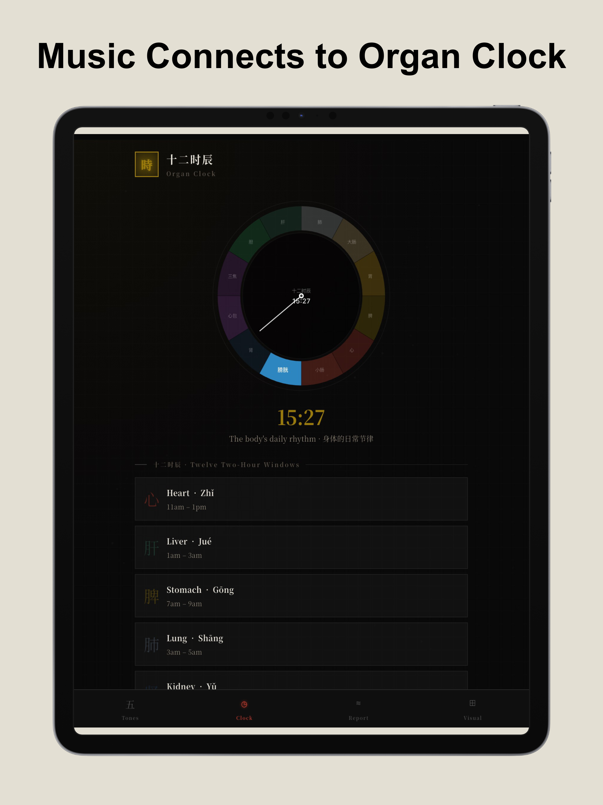 Sonoqi - Music Connection Tune screenshot 13