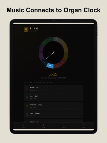 Sonoqi - Music Connection Tune iPad screenshot