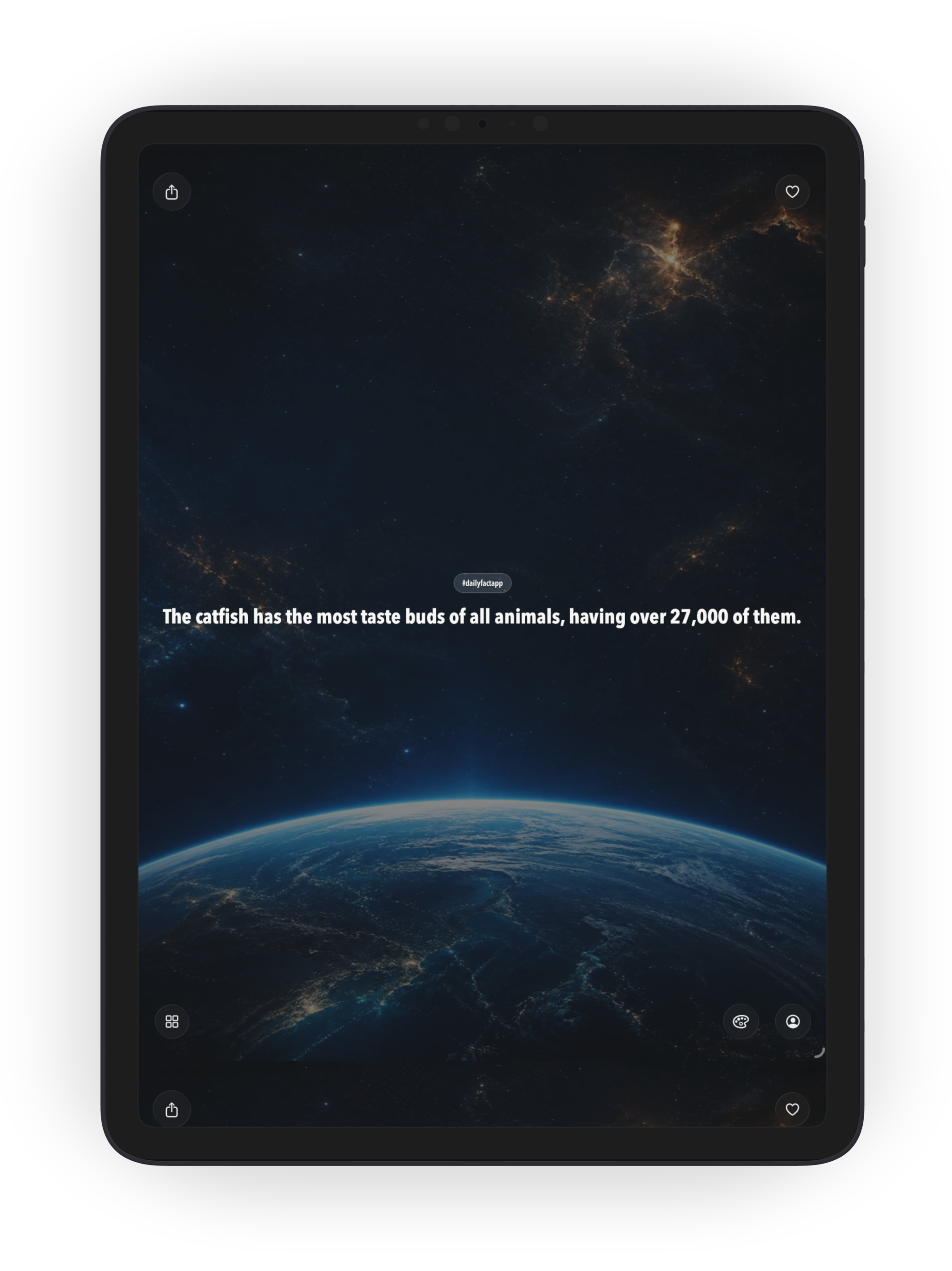 DailyFact: Learn Something New screenshot 6