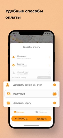 АЛИСА такси screenshot