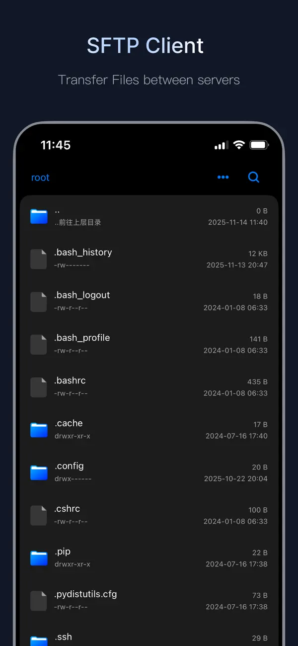 #5. HeySSH (iOS) От: 元域寰宇