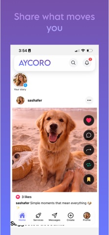 Aycoro iPhone screenshot