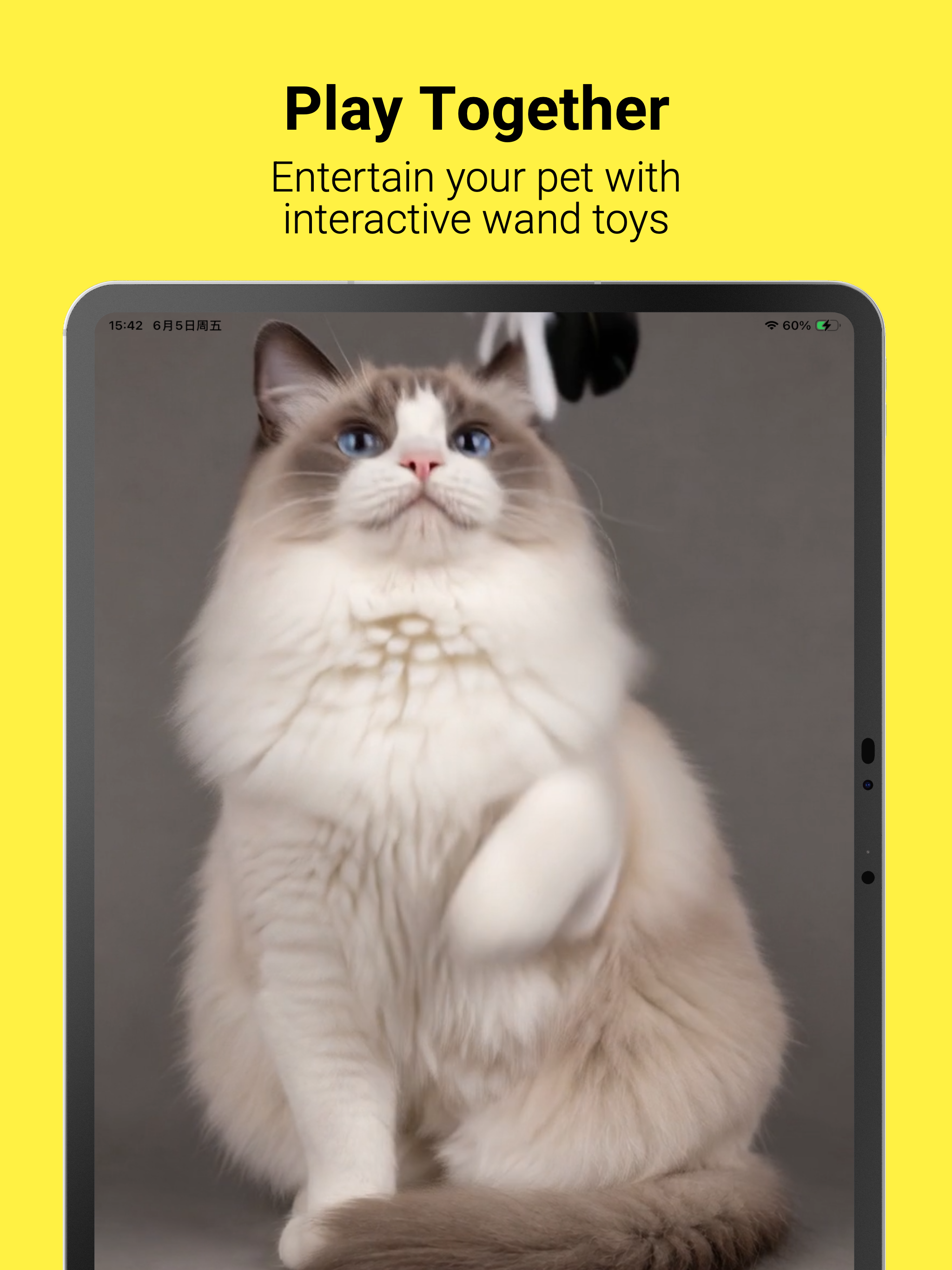 Petnori: Virtual Pet Companion screenshot 16
