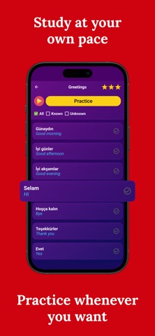 Learn Turkish (Beginners) Screenshot 3 of 7
