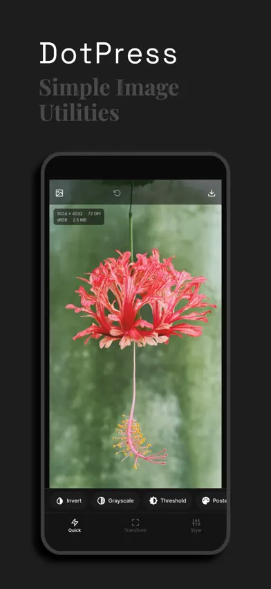 DotPress screenshot 1