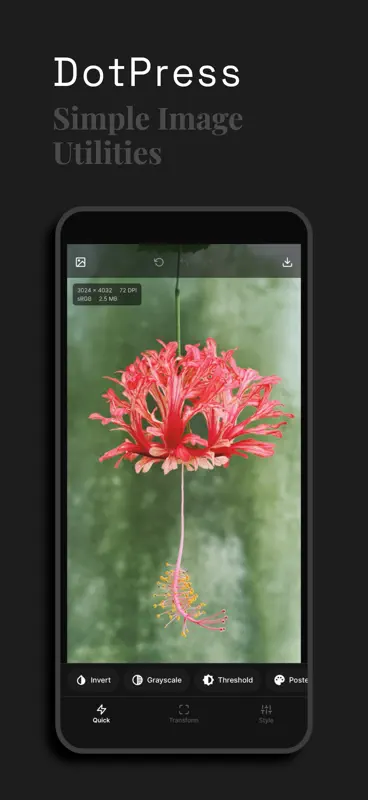 DotPress screenshot 1 of 7