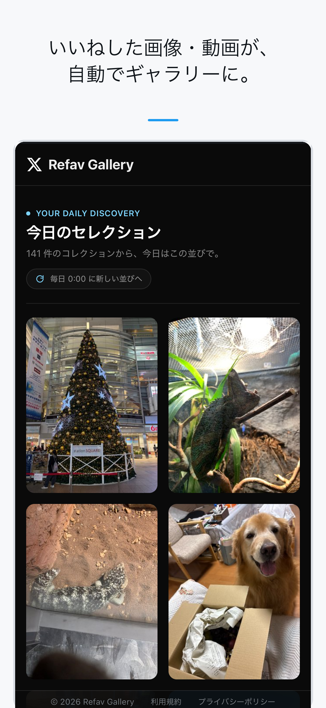 Refav Gallery screenshot 4