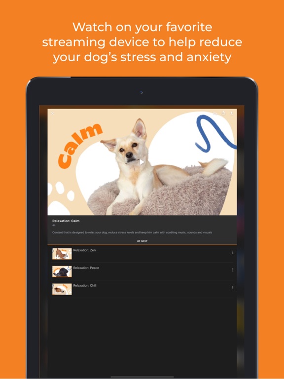 Screenshot #6 pour DOGTV
